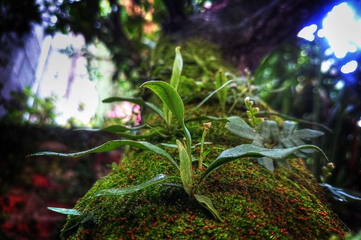 Vivamus Duis Consectetur
